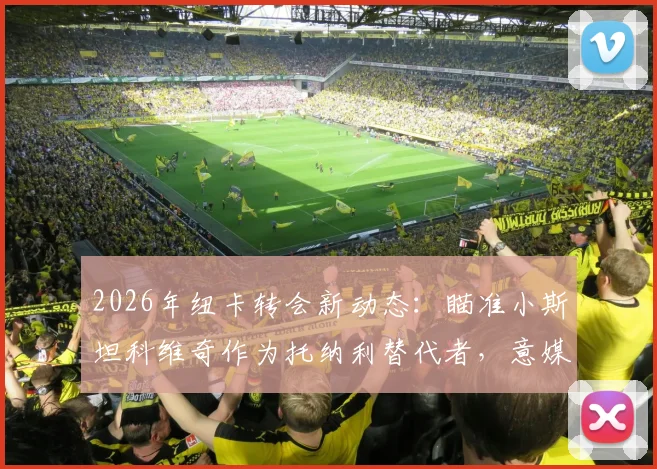 2026年纽卡转会新动态：瞄准小斯坦科维奇作为托纳利替代者，意媒曝出最新引援计划